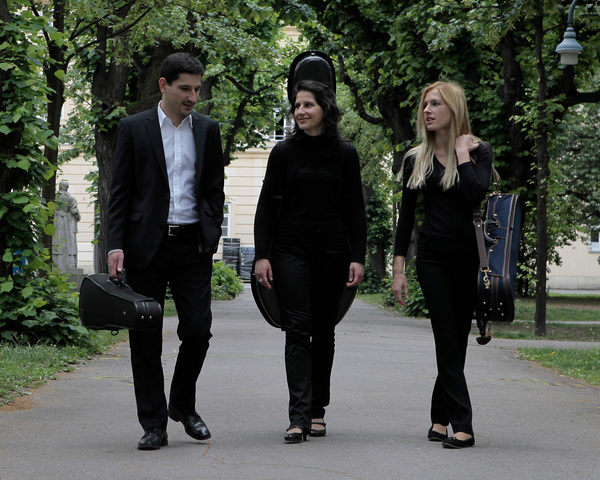 Das Aleksić Streichtrio